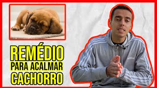 ✅Remédio Para Acalmar Cachorro Faz Mal Funciona🐶 [upl. by Raval]