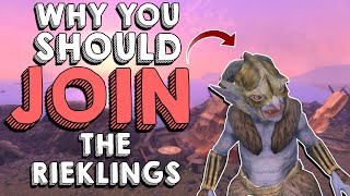 Why You Should Join the Rieklings  Hardest Decisions in Skyrim  Elder Scrolls Lore [upl. by Sal]