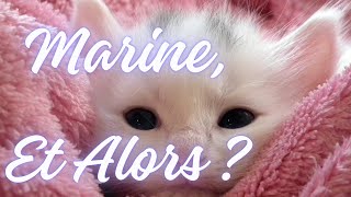 Marine Et Alors  tarot predictions voyance [upl. by Nojid]