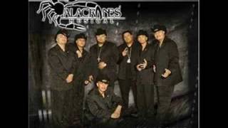 ALACRANES MUSICALPOR TU AMOR remix [upl. by Coryden]