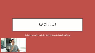 Bacillus  Bacteriología [upl. by Krauss]