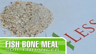 Fish Bone Meal  How to apply and why you should use it [upl. by Tsuda]