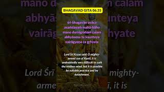 ✨Bhagavad Gita As It Is 0635 by HG Jahnudvipa Nitai Prabhuji bhagavadgita iskcon gitacourse [upl. by Waltner202]