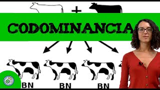 Ejercicio genetica con dos genes 🧬 Codominancia II [upl. by William]