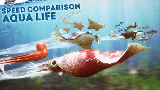 SPEED COMPARISON 3D  Aqua Life 🐠 [upl. by Cacka]