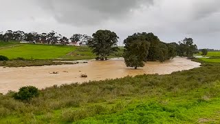 Flood along Old Malmesbury Road in South Africa [upl. by Ellehcsar]