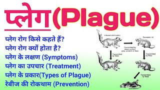 प्लेग रोग क्या है  plague disease in hindi  plague symptoms treatment prevention diagnosis ताऊन [upl. by Netnert18]