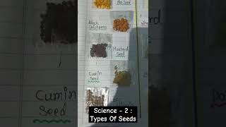 Science  2  TYPES OF SEEDS DICOTS AND MONOCOTS PROJECT [upl. by Camarata392]