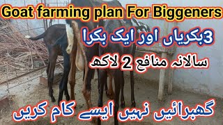 431 How get profit from Goat farmingGoat farming business planEarning from Small Goat farm [upl. by Aisek]