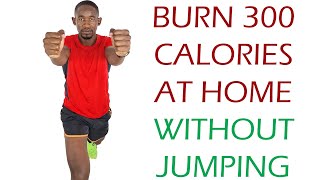 Burn 300 Calories Workout at Home Standing Cardio No Jumping [upl. by Jenifer]