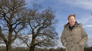 RHS Chelsea the man behind the Telegraphs garden [upl. by Alodee]