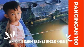 Kail sampai patah ikan nya BESAR banget Mancing di pemancingan 100 klaten [upl. by Ennairam]