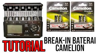 Tutorial breakin baterai Camelion High Velocity menggunakan charger Skyrc NC2500 Pro [upl. by Etnoj766]