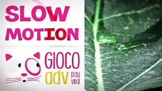 VIDEO SLOW MOTION  Tema Descrivi la pioggia [upl. by Ader]