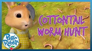 OfficialPeterRabbit  🐰🪱 Cottontails Worm Hunt 🪱🐰  WORMS  Cartoons for Kids [upl. by Reitrac]