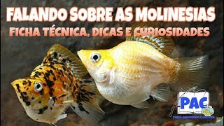 Falando sobre as Molinésias [upl. by Aliahs780]