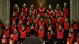 Heeresmusikkorps Ulm amp Ulmer Spatzen Chor  Holiday Favorites [upl. by Wehhtam]