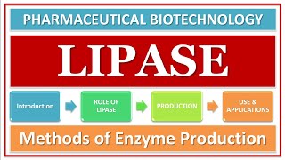 LIPASE ENZYME  ITS FUNCTION amp ROLE  PRODUCTION USING MICROBES  APPLICATIONS  BIOTECHNOLOGY [upl. by Aihsemaj397]