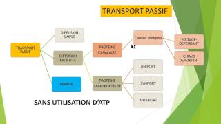 Transport membranaire de A à Z [upl. by Frymire]