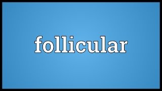 Follicular Meaning [upl. by Ellatsirhc]