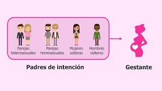 ¿Qué es la gestación subrogada [upl. by Rednav]