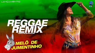 MELÔ DE JUMENTINHO  VERSÃO REGGAE REMIX GiCantor LaercioMisterProducoes [upl. by Mellar]