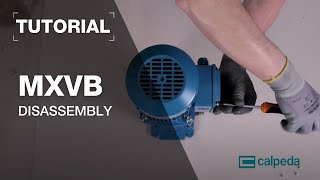 How to disassemble a Multistage MXVB pump in 27 steps [upl. by Yrogreg665]