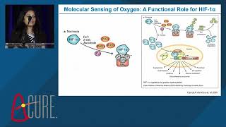 Young Investigator Award Lija Swain PhD  Tufts Medical Center [upl. by Jezabelle]