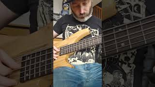 Quick Glarry bass guitar demo Bass Glarry cheapinstruments [upl. by Novla]