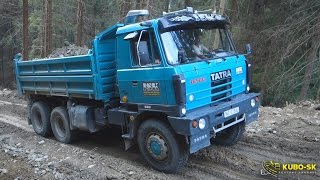 TATRA 815  uphill on the forest road [upl. by Umeko887]