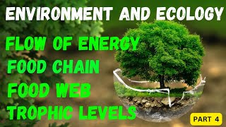 Energy Flow in Ecosystem  Food Chain Food Web Trophic Levels part4 in one shot UPSC cseNEET [upl. by Ijok]