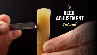 How to Improve Every Saxophone Reed [upl. by Montford]