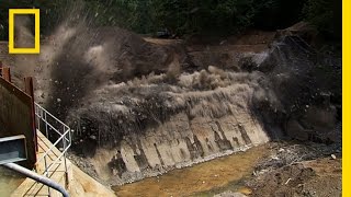 Marmot Dam  National Geographic [upl. by Kcim]