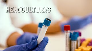 Como coletar hemoculturas  Dr Renato Cassol Infectologista [upl. by Geraud]