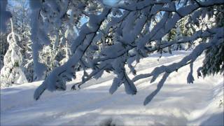 les hautes vosges sous la neige 2010 [upl. by Alahs729]