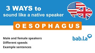 OESOPHAGUS pronunciation  Improve your language with babla [upl. by Colet]