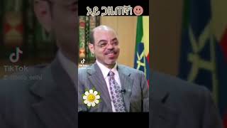 meleszenawi funny enterveiw [upl. by Klos]