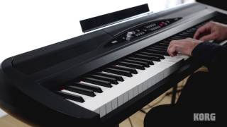 Korg SP280 Digital Piano  Acoustic and Electric Piano Performance [upl. by Reivilo642]