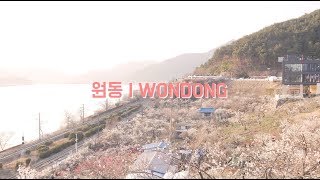 Wondong Plum Blossom Festival Yangsan City South Korea  Ini Film [upl. by Hali]