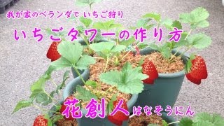 いちご狩りからベランダ栽培へ！【いちごタワーの作り方amp育て方】8分動画／花創人はなそうにん岐阜愛知寄せ植えハンギングバスケット教室 [upl. by Nojel]