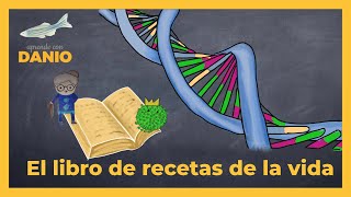 🧬Transcripción del ADN traducción y síntesis de proteínas Explicado en 6 MINUTOS con un virus [upl. by Nylkcaj]