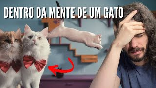 Veterinário de gato analisa documentário DENTRO DA MENTE DE UM GATO  O que será mito e verdade [upl. by Notsecnirp875]