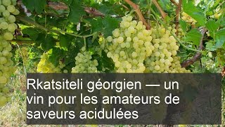 Le Rkatsiteli géorgien  un vin pour les amateurs de saveurs acidulées [upl. by Brendis]