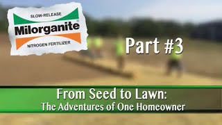 How to Start a Lawn From Seed Part 3 [upl. by Ahcsropal543]