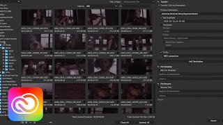 How to Ingest amp Transcode Camera Footage in Adobe Prelude amp Media Encoder  Adobe Creative Cloud [upl. by Vorster]