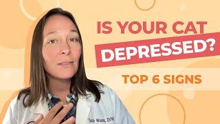 8 Signs Your Cat Might Be Depressed and How to Help [upl. by Nelyag271]