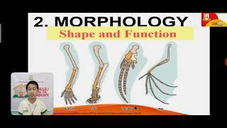 Classifying Organisms Based on Evolutionary Relationship EarthampLifeScienceGrade11 Discussion Video [upl. by Dominy]