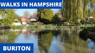 WALKS IN HAMPSHIRE at BURITON SOUTH DOWNS NATIONAL PARK 4K [upl. by Cordeelia]