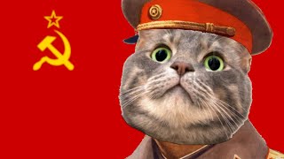 USSR Anthem  Cat Cover [upl. by Aynas]