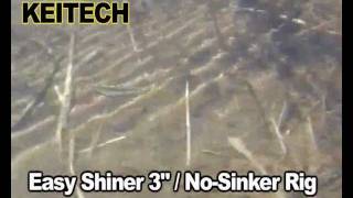 Keitech 3quot Easy Shiner No Sinker Rig [upl. by Kreitman347]